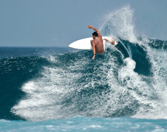 Flipphead Surf T Shirts in the womens department