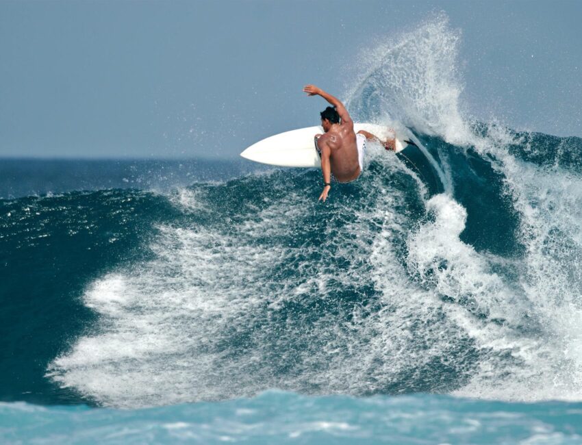 Flipphead Surf T Shirts in the womens department