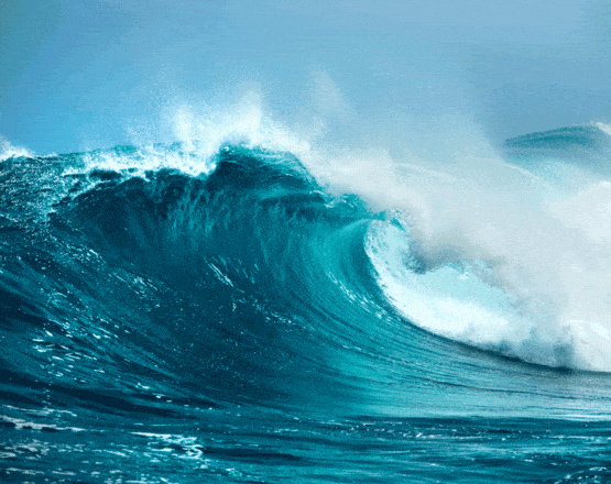 best surf spots in florida