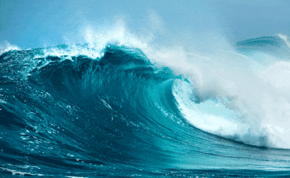 best surf spots in florida